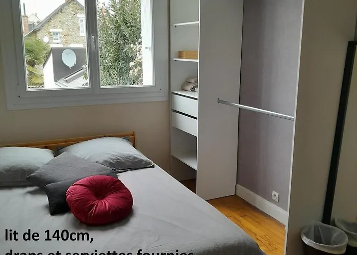 Chambre Dans Une Colocation