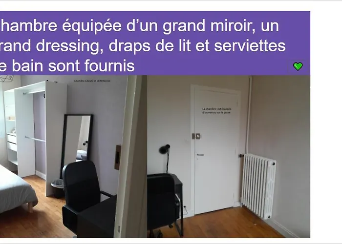 Chambre Dans Une Colocation
